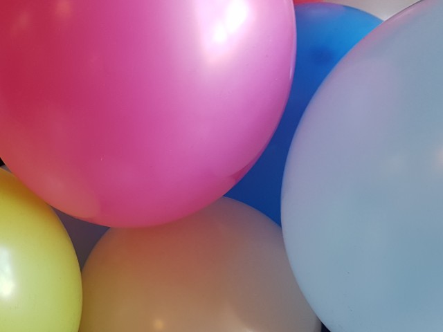 Das Foto zeigt bunte Luftballons.