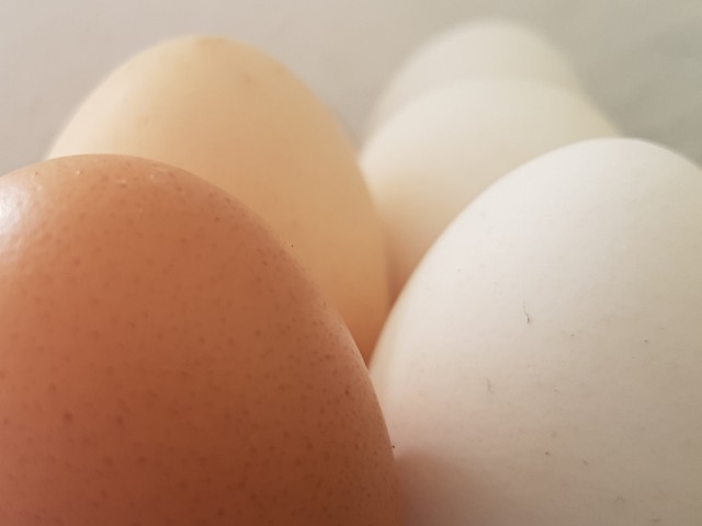 Das Foto zeigt mehrere Eier, im Vordergrund dunkle und im Hintergrund einige helle Eier.